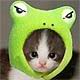 joyce6811 joyce6811