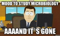 MajorEventsinMicrobiologyHistory18391881 Photo