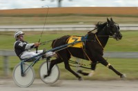 StellamirusSportsWithoutBallsQuiz Photo
